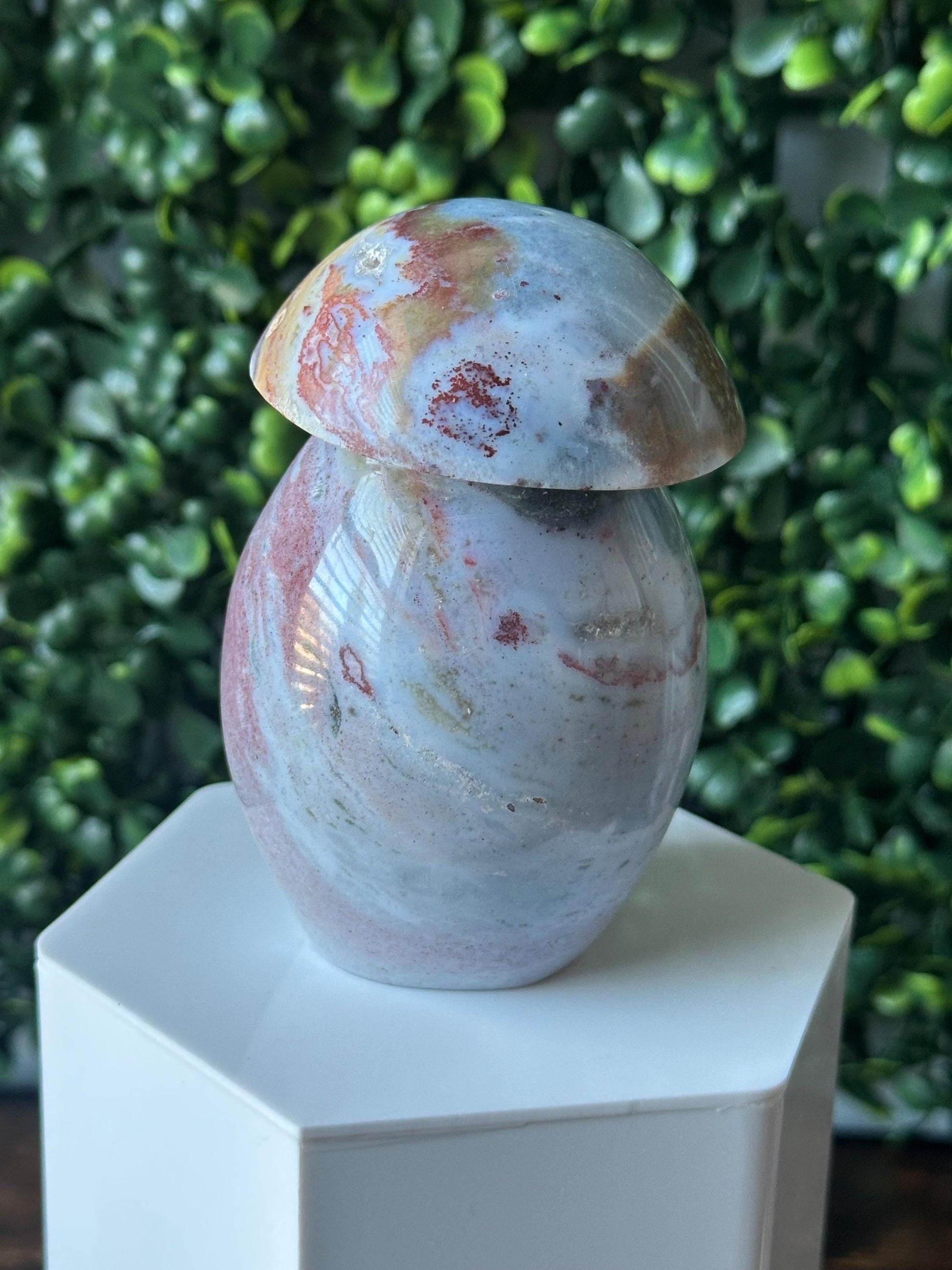 Sea Jasper Mushroom Carving | Natural Ocean Jasper Stone Sculpture | Polished Crystal Mushroom Mineral Specimen for Collectors Display Decor