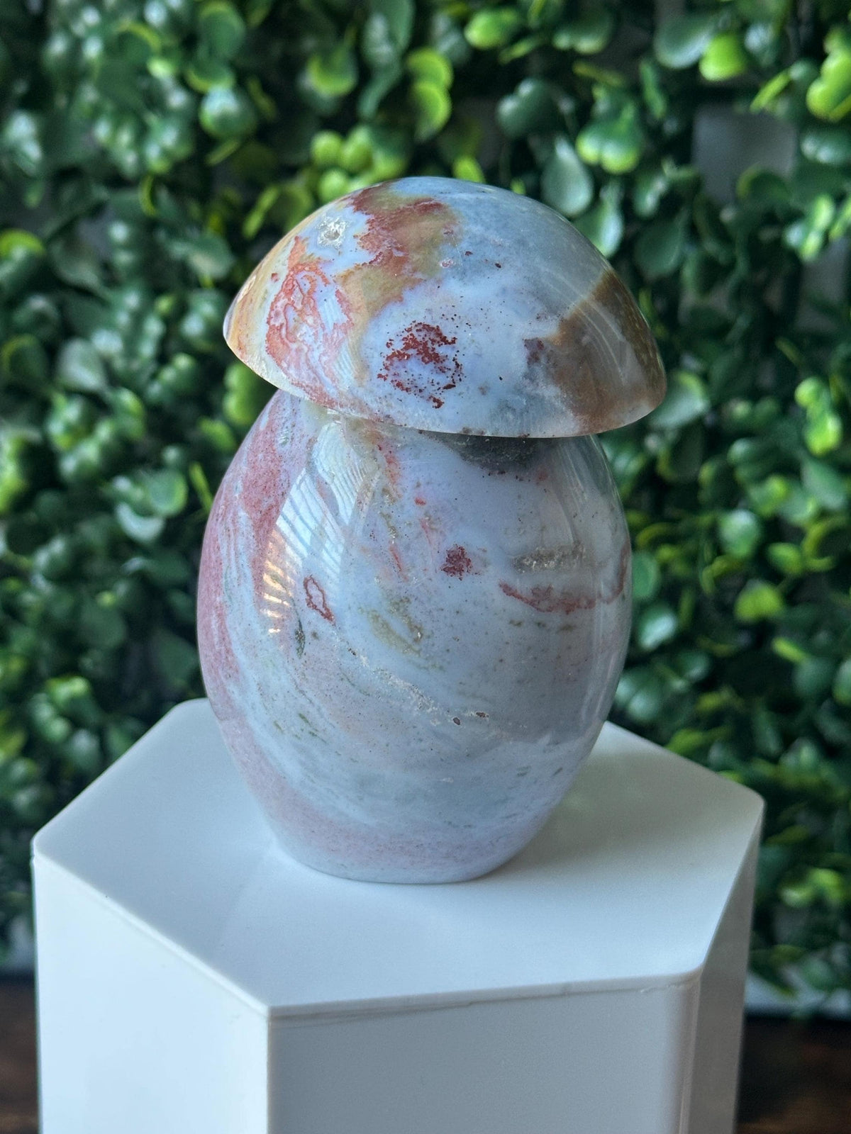Sea Jasper Mushroom Carving | Natural Ocean Jasper Stone Sculpture | Polished Crystal Mushroom Mineral Specimen for Collectors Display Decor