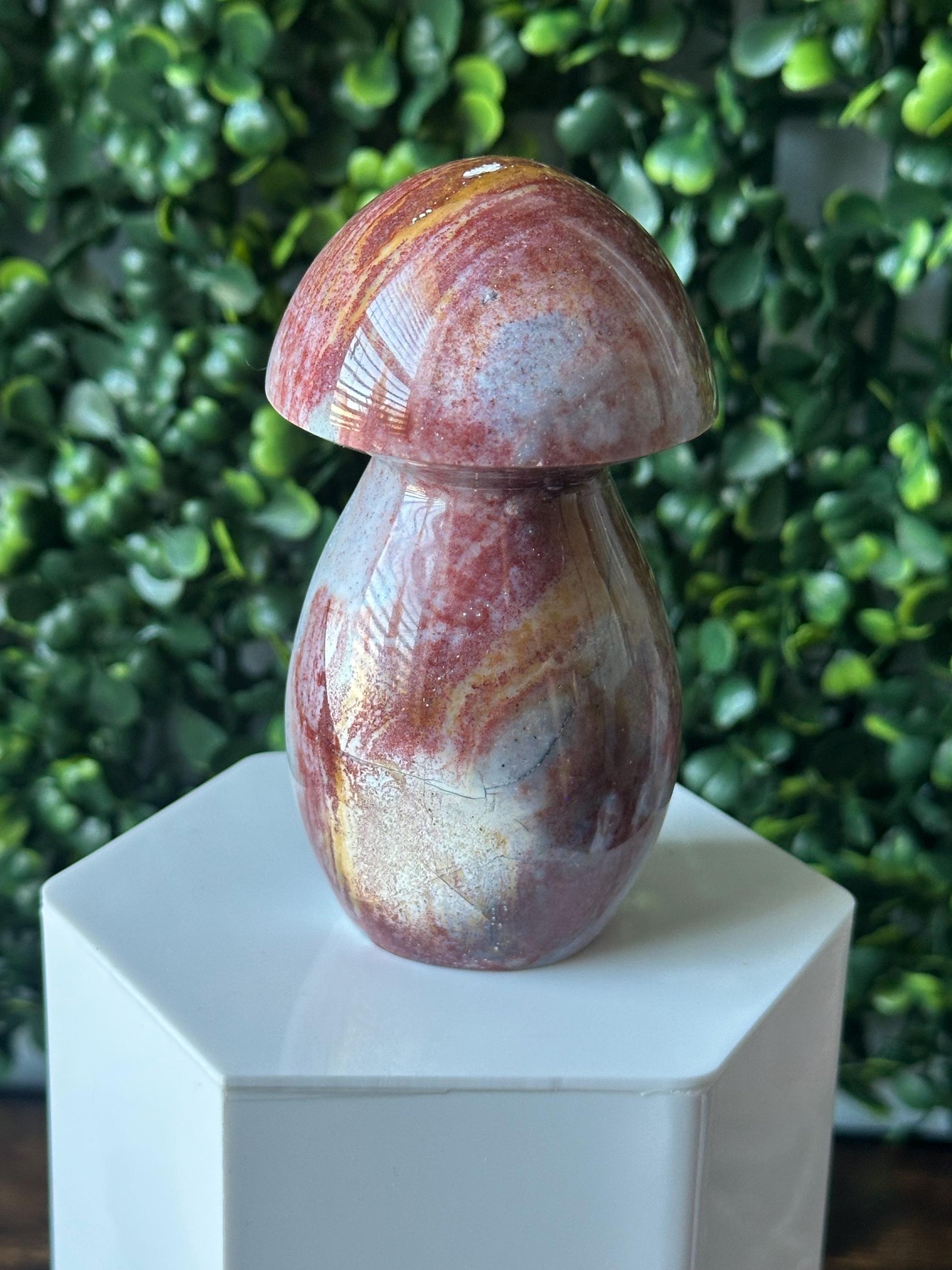 Sea Jasper Mushroom Carving | Natural Ocean Jasper Stone Sculpture | Polished Crystal Mushroom Mineral Specimen for Collectors Display Decor