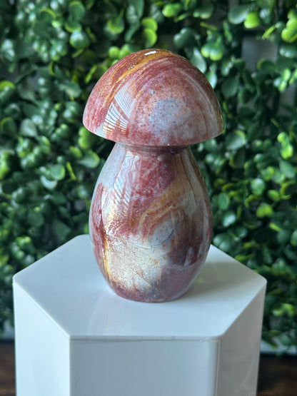 Sea Jasper Mushroom Carving | Natural Ocean Jasper Stone Sculpture | Polished Crystal Mushroom Mineral Specimen for Collectors Display Decor