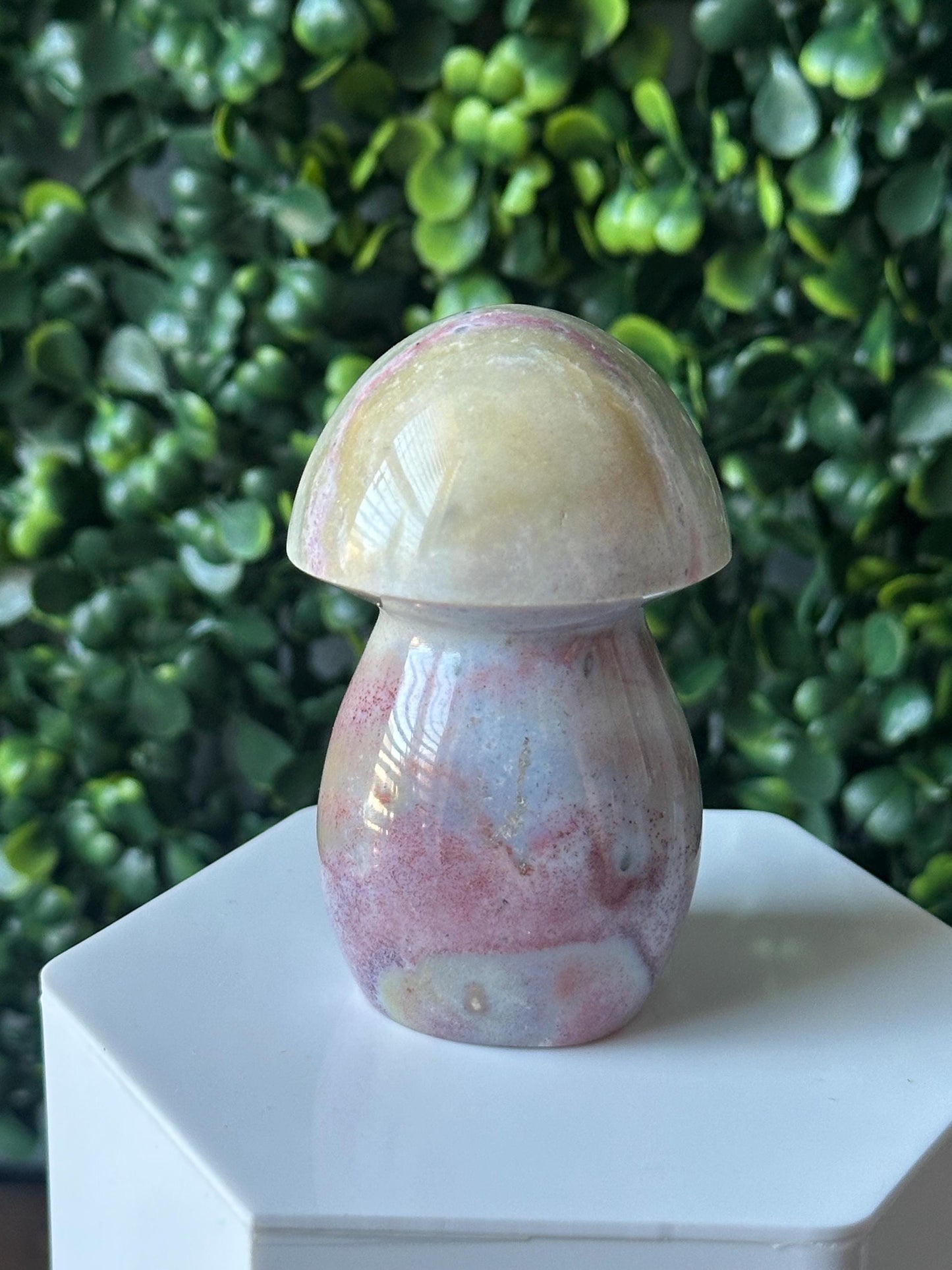 Sea Jasper Mushroom Carving | Natural Ocean Jasper Stone Sculpture | Polished Crystal Mushroom Mineral Specimen for Collectors Display Decor