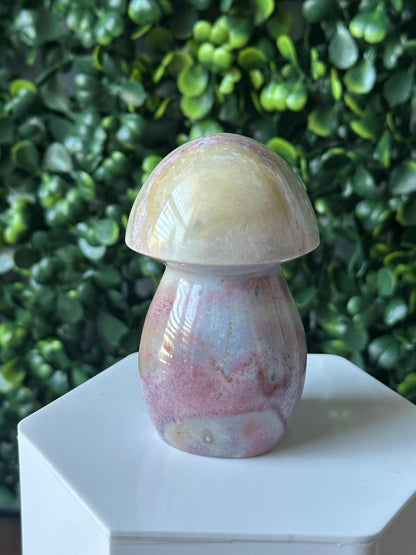 Sea Jasper Mushroom Carving | Natural Ocean Jasper Stone Sculpture | Polished Crystal Mushroom Mineral Specimen for Collectors Display Decor
