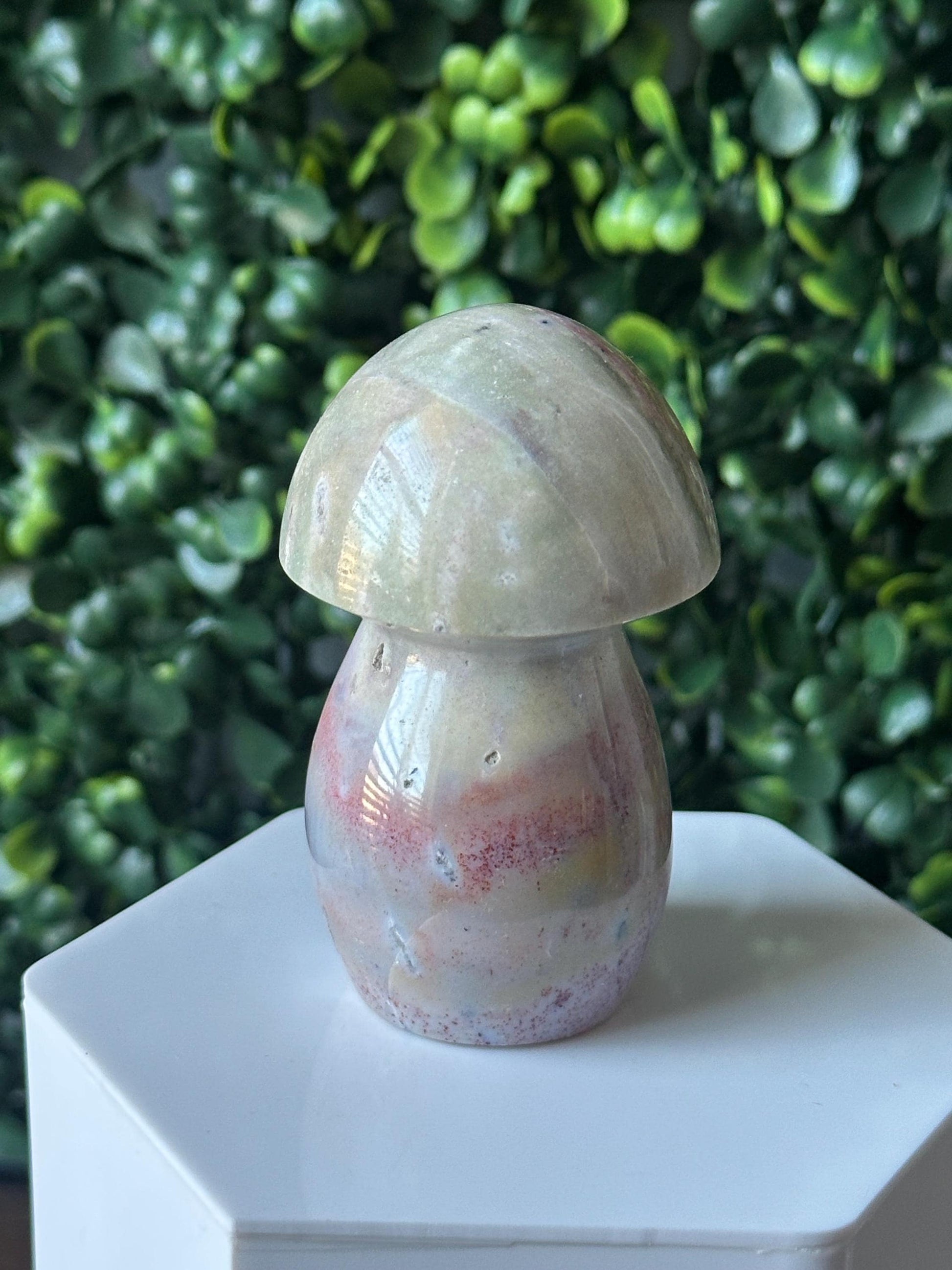 Sea Jasper Mushroom Carving | Natural Ocean Jasper Stone Sculpture | Polished Crystal Mushroom Mineral Specimen for Collectors Display Decor