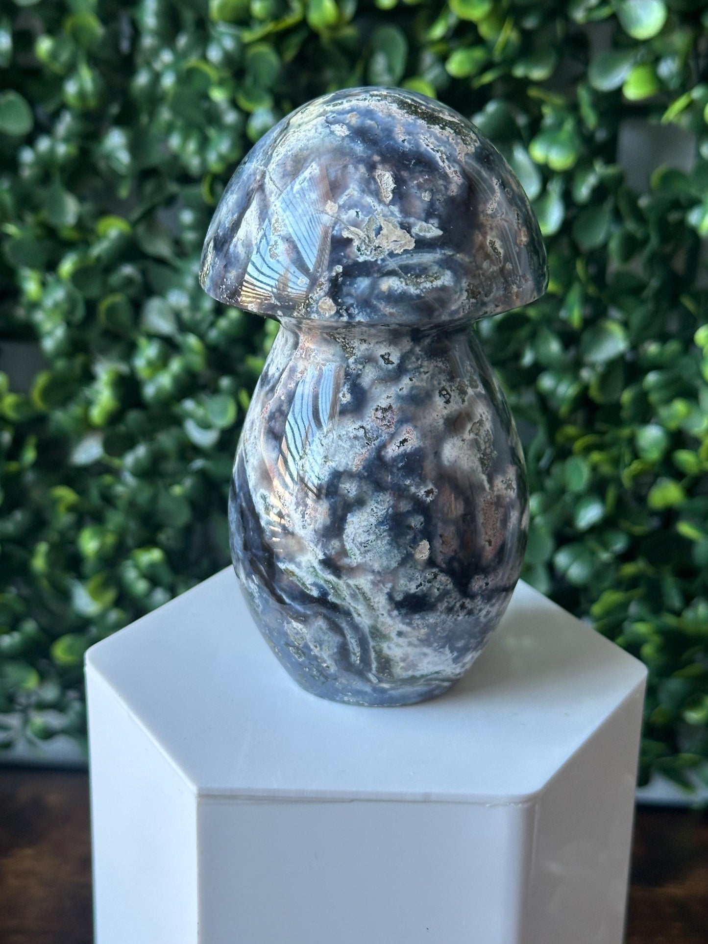 Sea Jasper Mushroom Carving | Natural Ocean Jasper Stone Sculpture | Polished Crystal Mushroom Mineral Specimen for Collectors Display Decor
