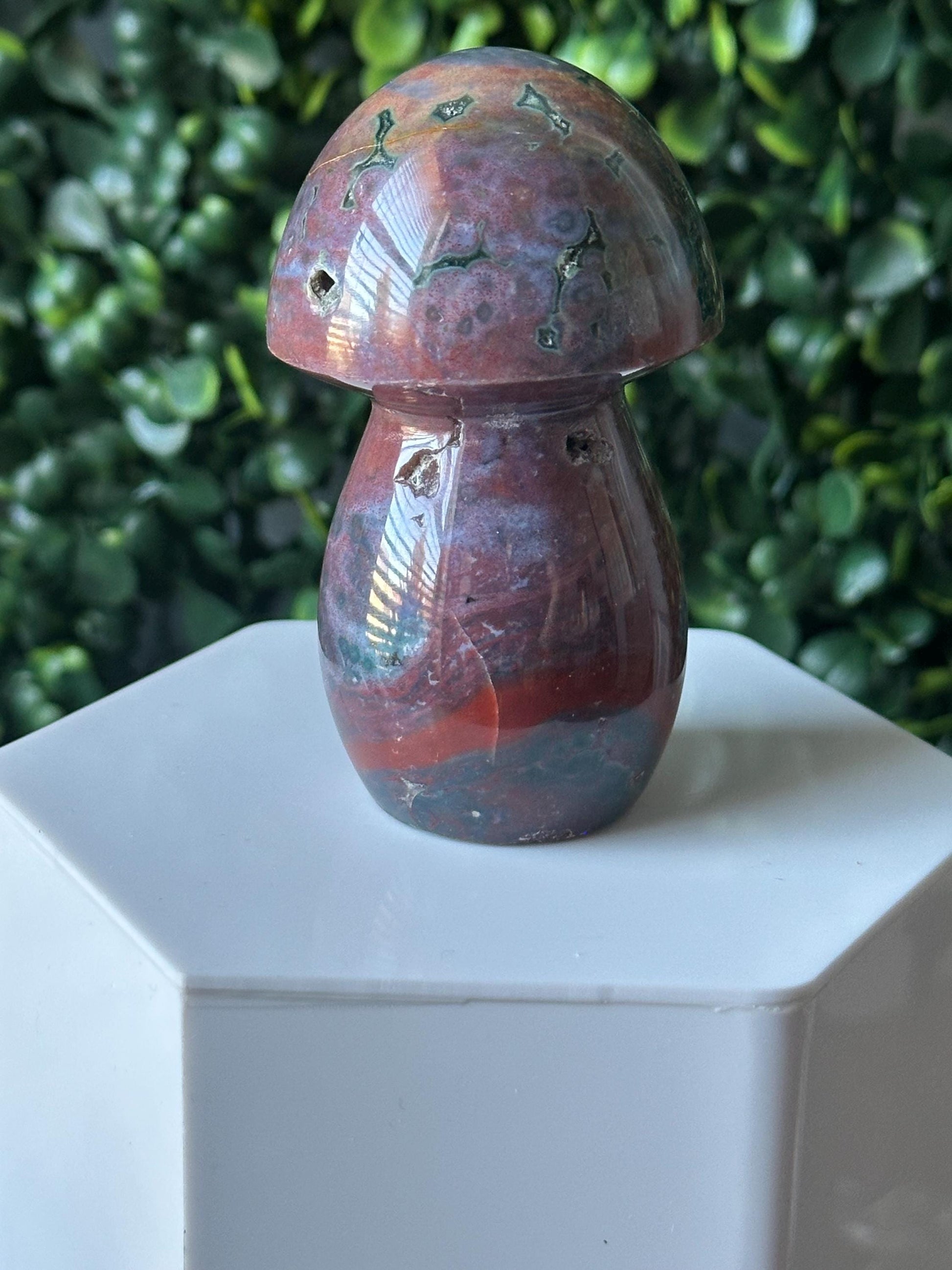 Sea Jasper Mushroom Carving | Natural Ocean Jasper Stone Sculpture | Polished Crystal Mushroom Mineral Specimen for Collectors Display Decor
