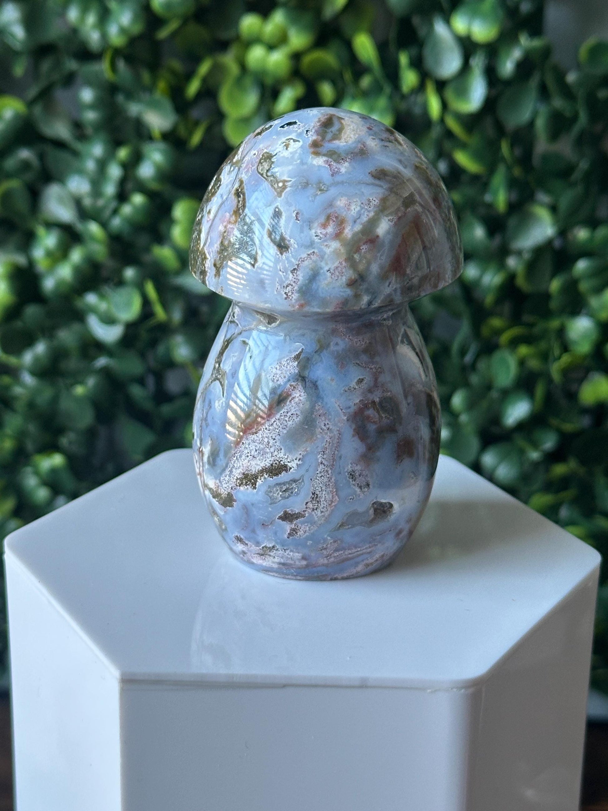 Sea Jasper Mushroom Carving | Natural Ocean Jasper Stone Sculpture | Polished Crystal Mushroom Mineral Specimen for Collectors Display Decor