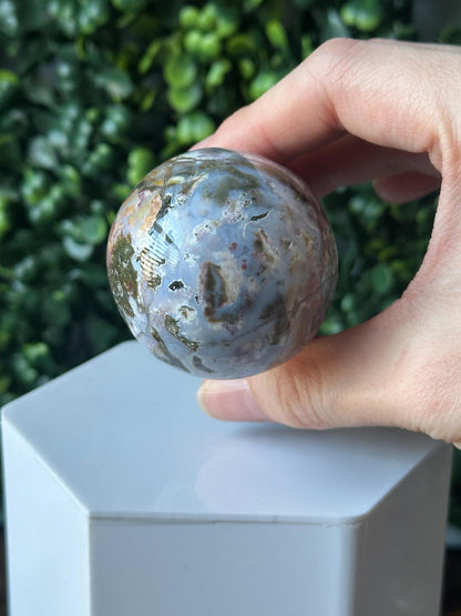 Sea Jasper Mushroom Carving | Natural Ocean Jasper Stone Sculpture | Polished Crystal Mushroom Mineral Specimen for Collectors Display Decor