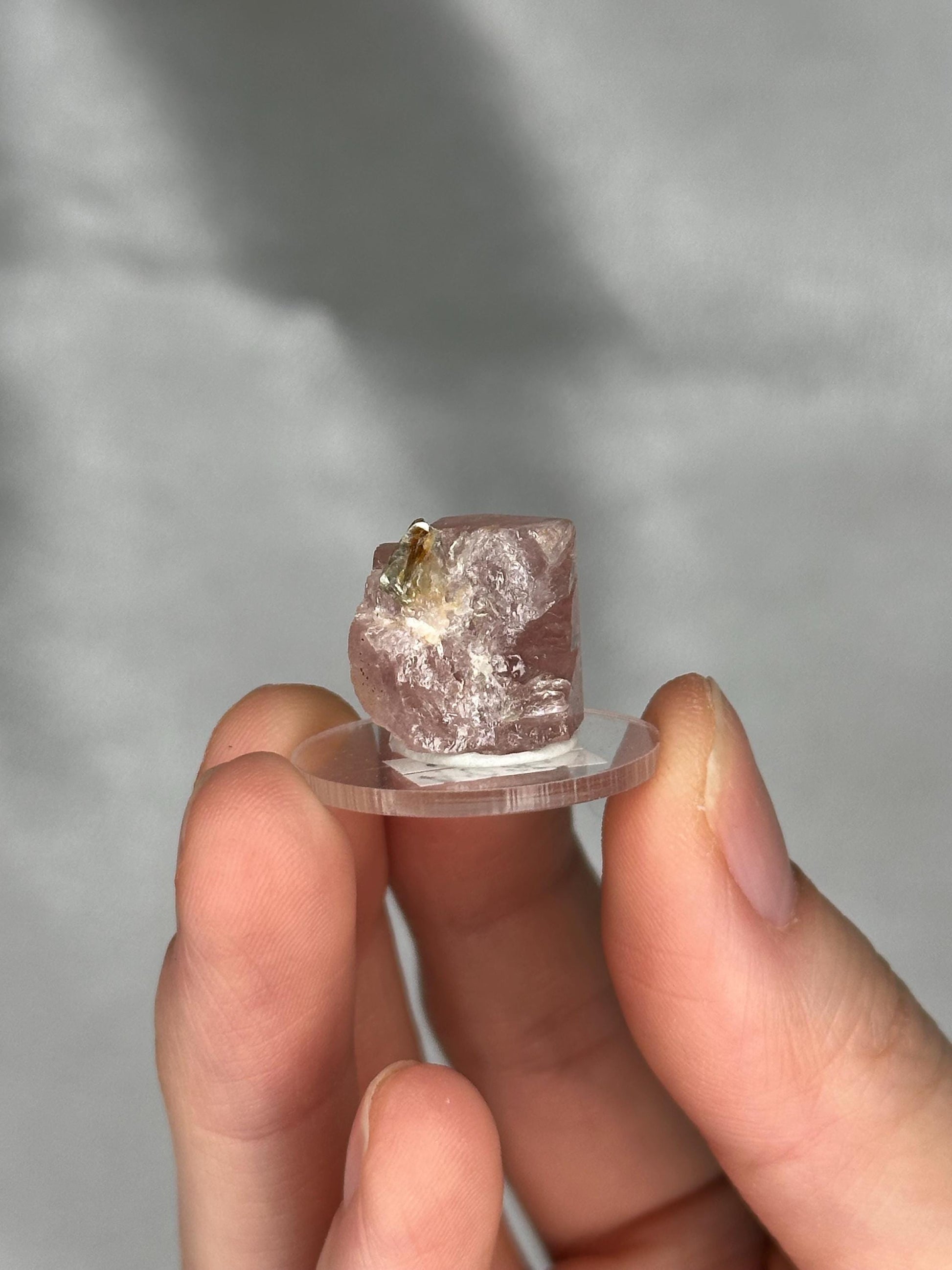 Gemmy Pink Apatite Muscovite Specimen | Rosy Crystal Formation | Natural Mineral Display Piece | Collector Showcase Decorative Accent