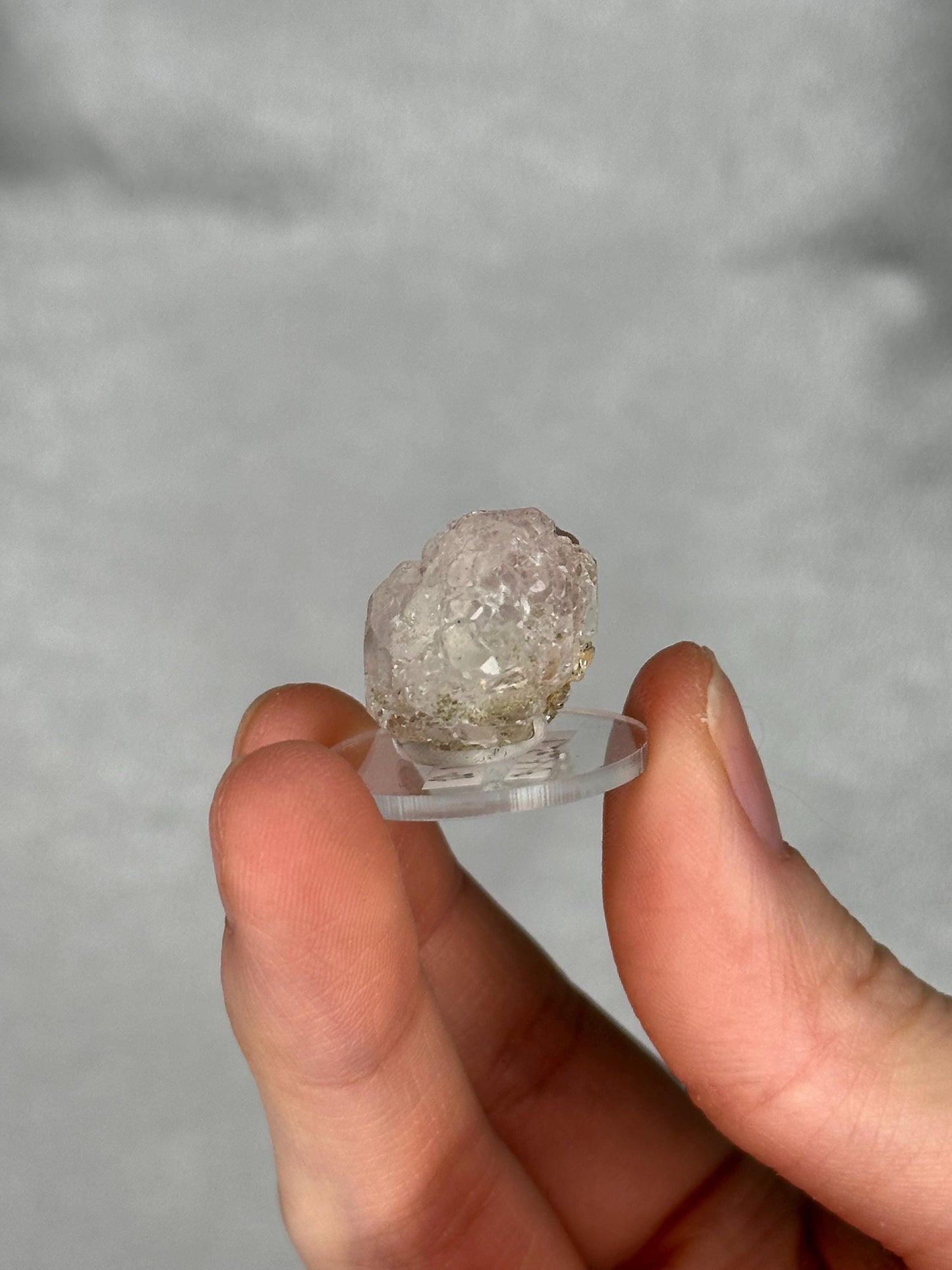 Pink Apatite with Clear Fluorite | Natural Crystal Association | Raw Mineral Display Piece | Collector Showcase Decorative Accent