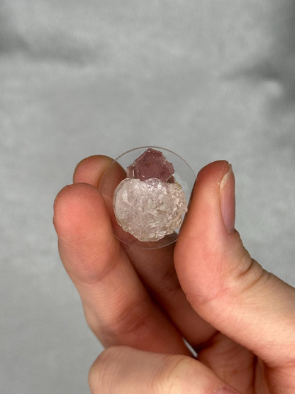 Pink Apatite with Clear Fluorite | Natural Crystal Association | Raw Mineral Display Piece | Collector Showcase Decorative Accent