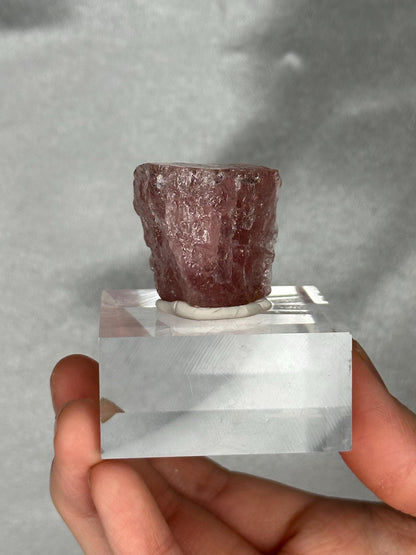 Gemmy Pink Apatite Specimen | Rosy Crystal Formation | Natural Mineral Display Piece | Collector Showcase Decorative Accent