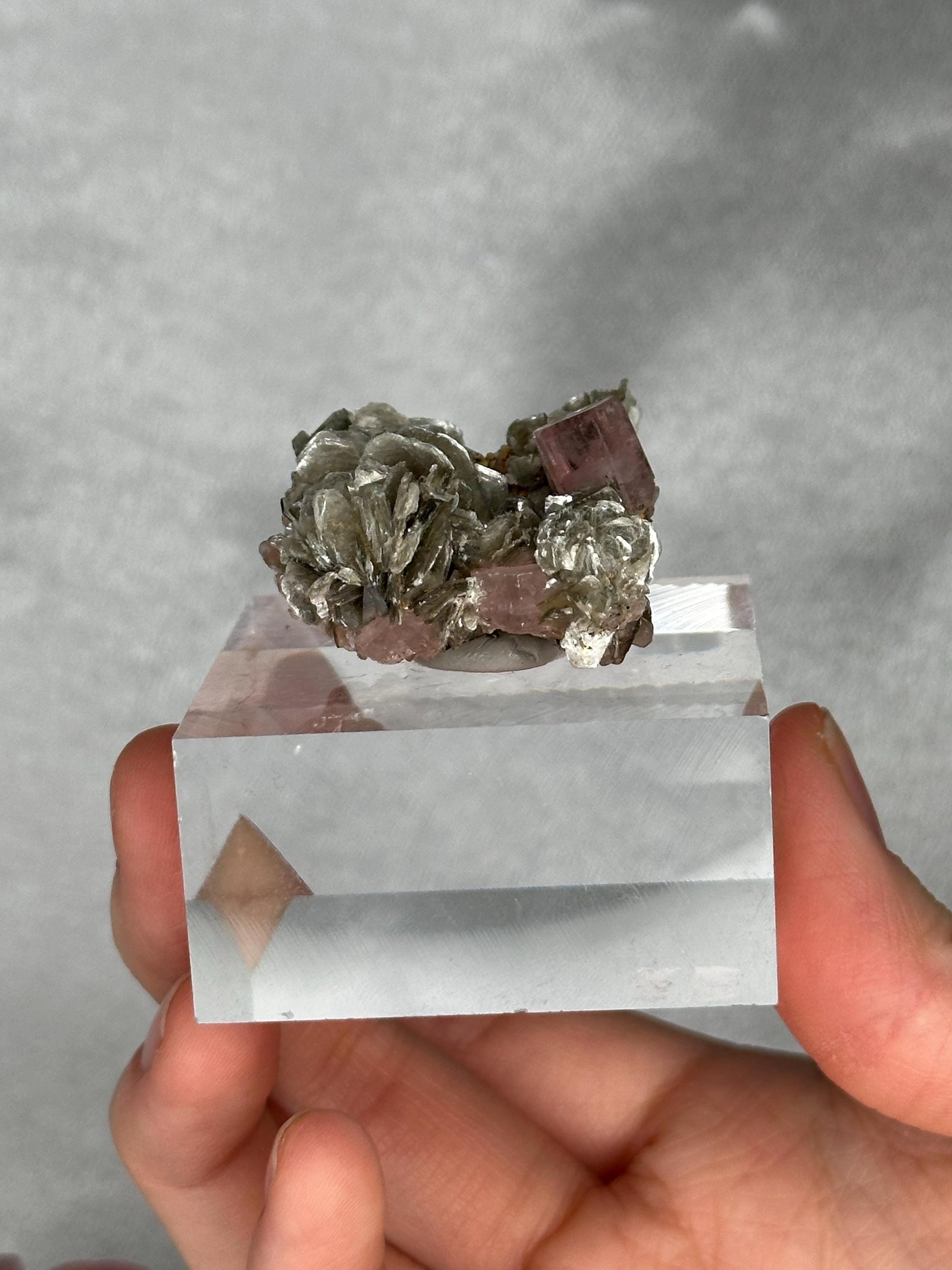 Gemmy Pink Apatite Muscovite Specimen | Rosy Crystal Formation | Natural Mineral Display Piece | Collector Showcase Decorative Accent