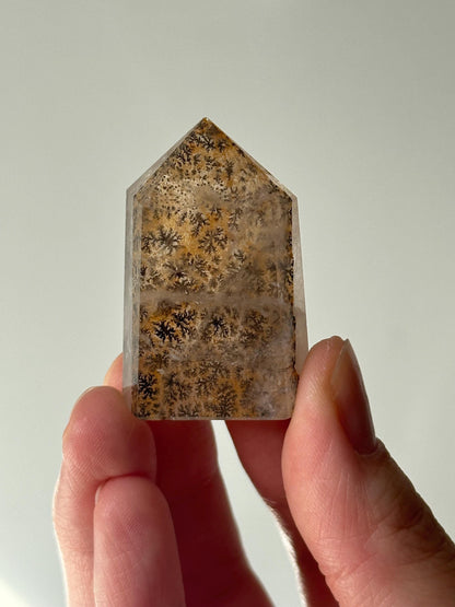 May include: A clear, rectangular crystal point with a flat top. The crystal features a pattern of black and yellow inclusions, resembling small, intricate trees. The crystal is held in a hand against a white background.