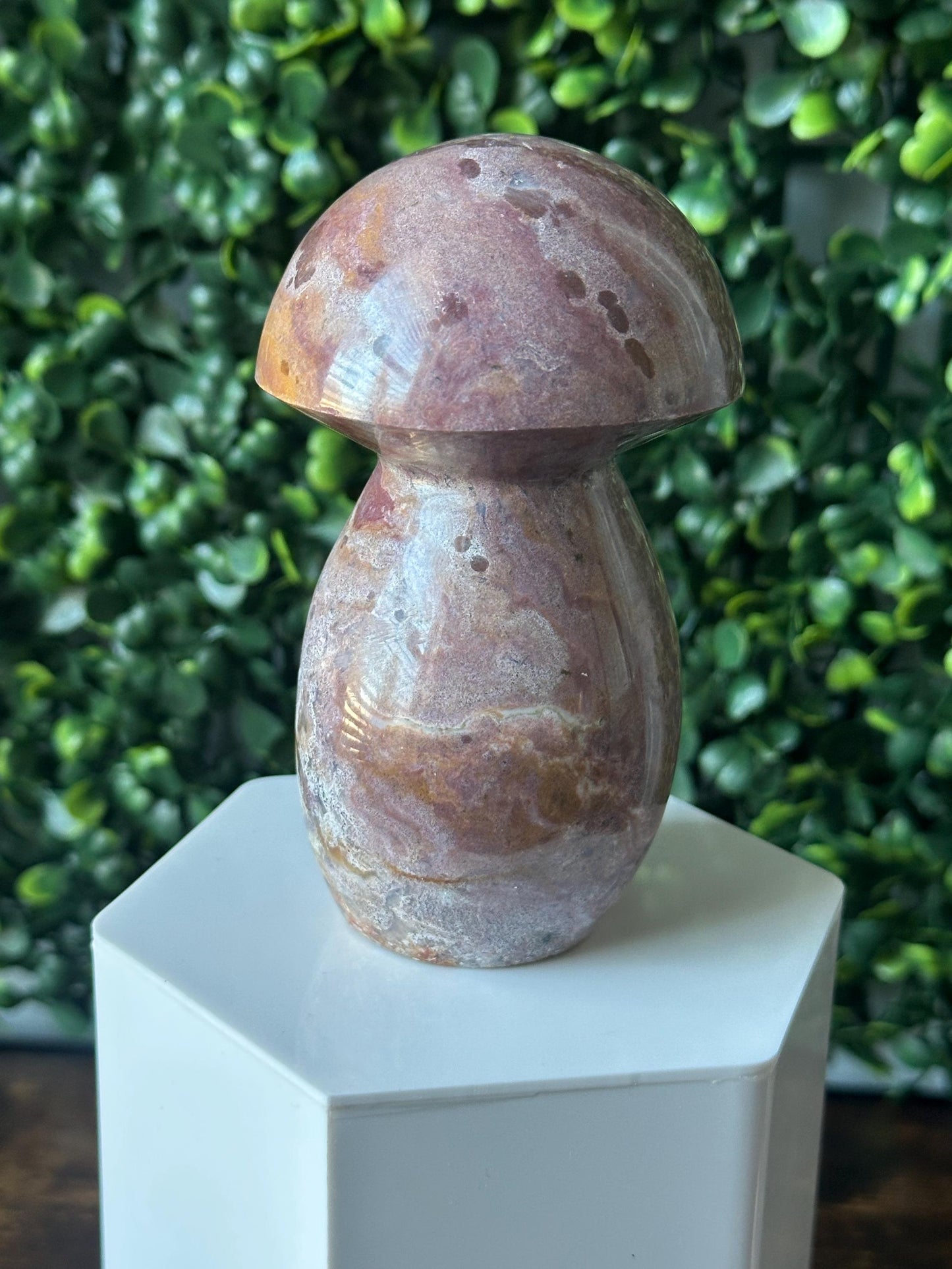 Sea Jasper Mushroom Carving | Natural Ocean Jasper Stone Sculpture | Polished Crystal Mushroom Mineral Specimen for Collectors Display Decor