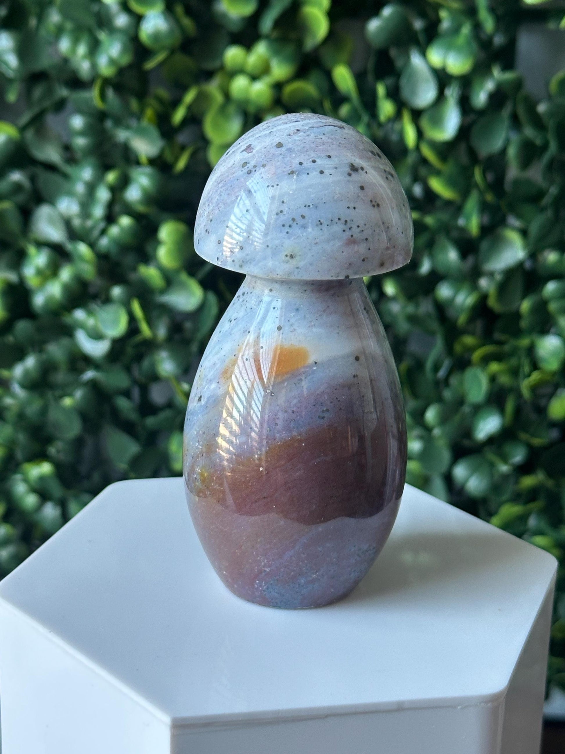 Sea Jasper Mushroom Carving | Natural Ocean Jasper Stone Sculpture | Polished Crystal Mushroom Mineral Specimen for Collectors Display Decor