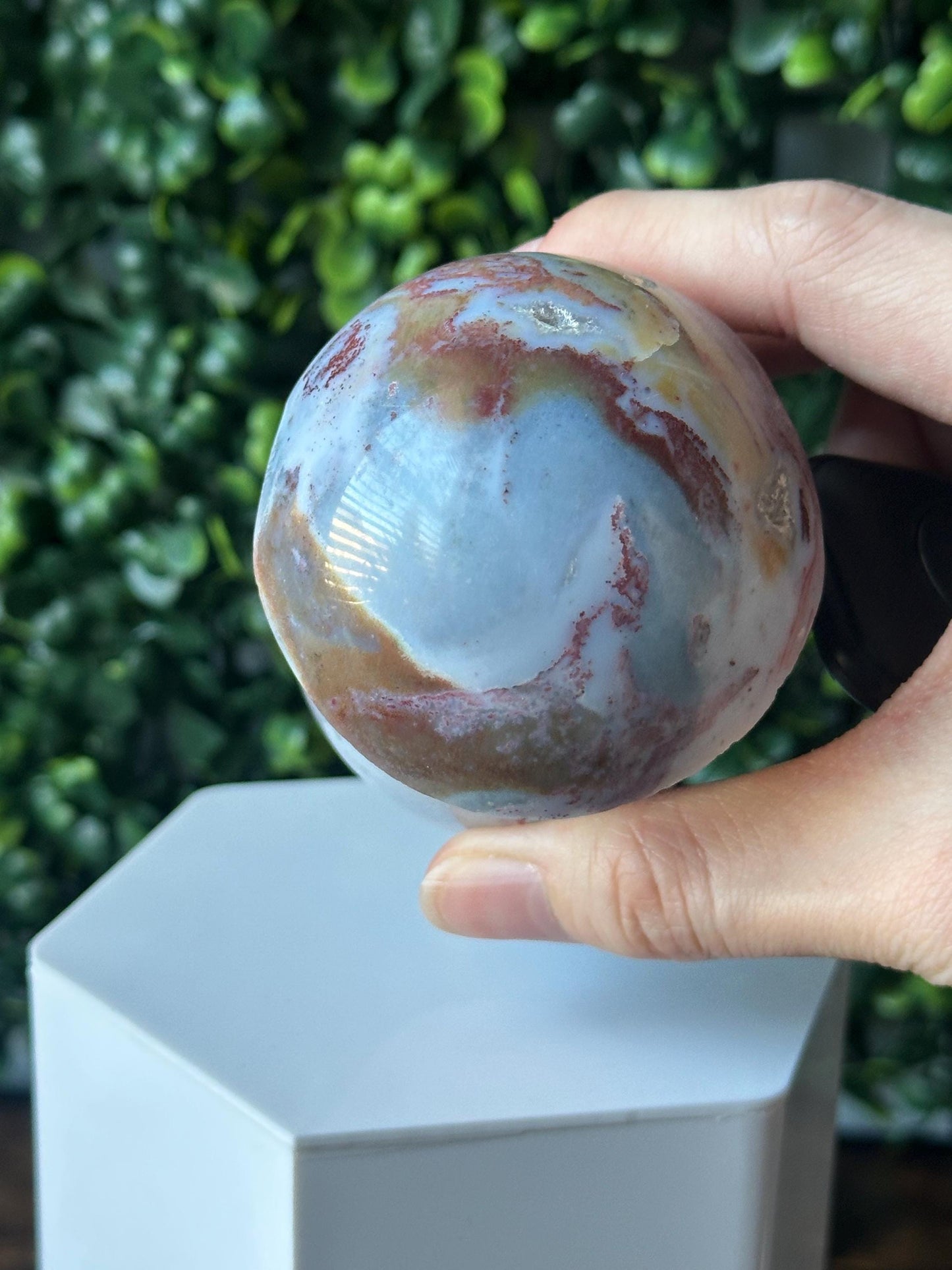 Sea Jasper Mushroom Carving | Natural Ocean Jasper Stone Sculpture | Polished Crystal Mushroom Mineral Specimen for Collectors Display Decor