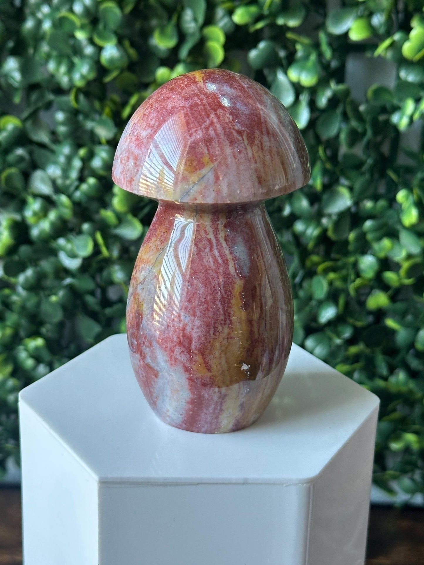 Sea Jasper Mushroom Carving | Natural Ocean Jasper Stone Sculpture | Polished Crystal Mushroom Mineral Specimen for Collectors Display Decor