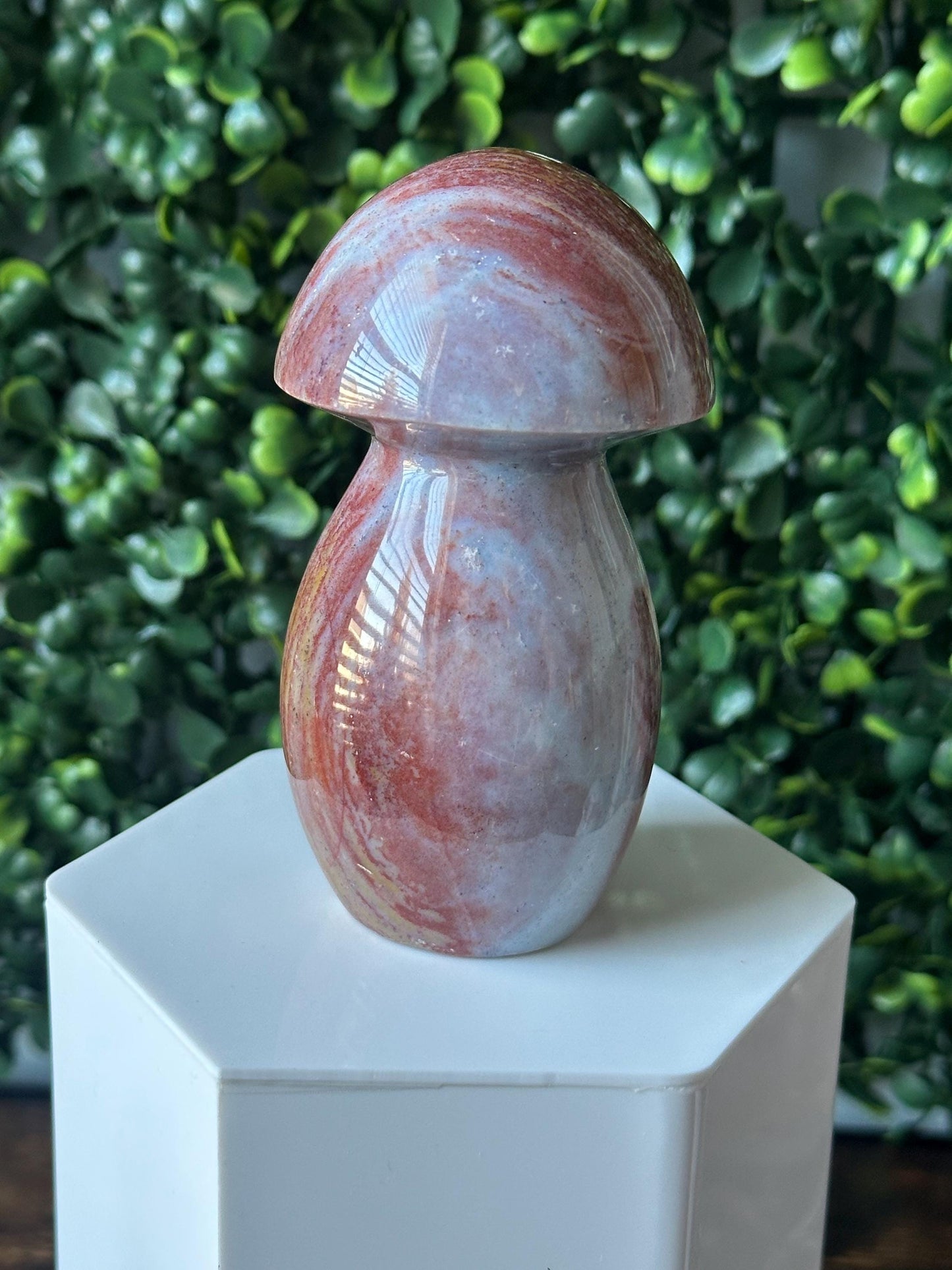 Sea Jasper Mushroom Carving | Natural Ocean Jasper Stone Sculpture | Polished Crystal Mushroom Mineral Specimen for Collectors Display Decor