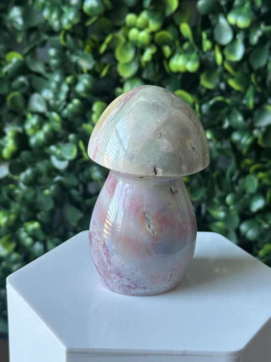 Sea Jasper Mushroom Carving | Natural Ocean Jasper Stone Sculpture | Polished Crystal Mushroom Mineral Specimen for Collectors Display Decor