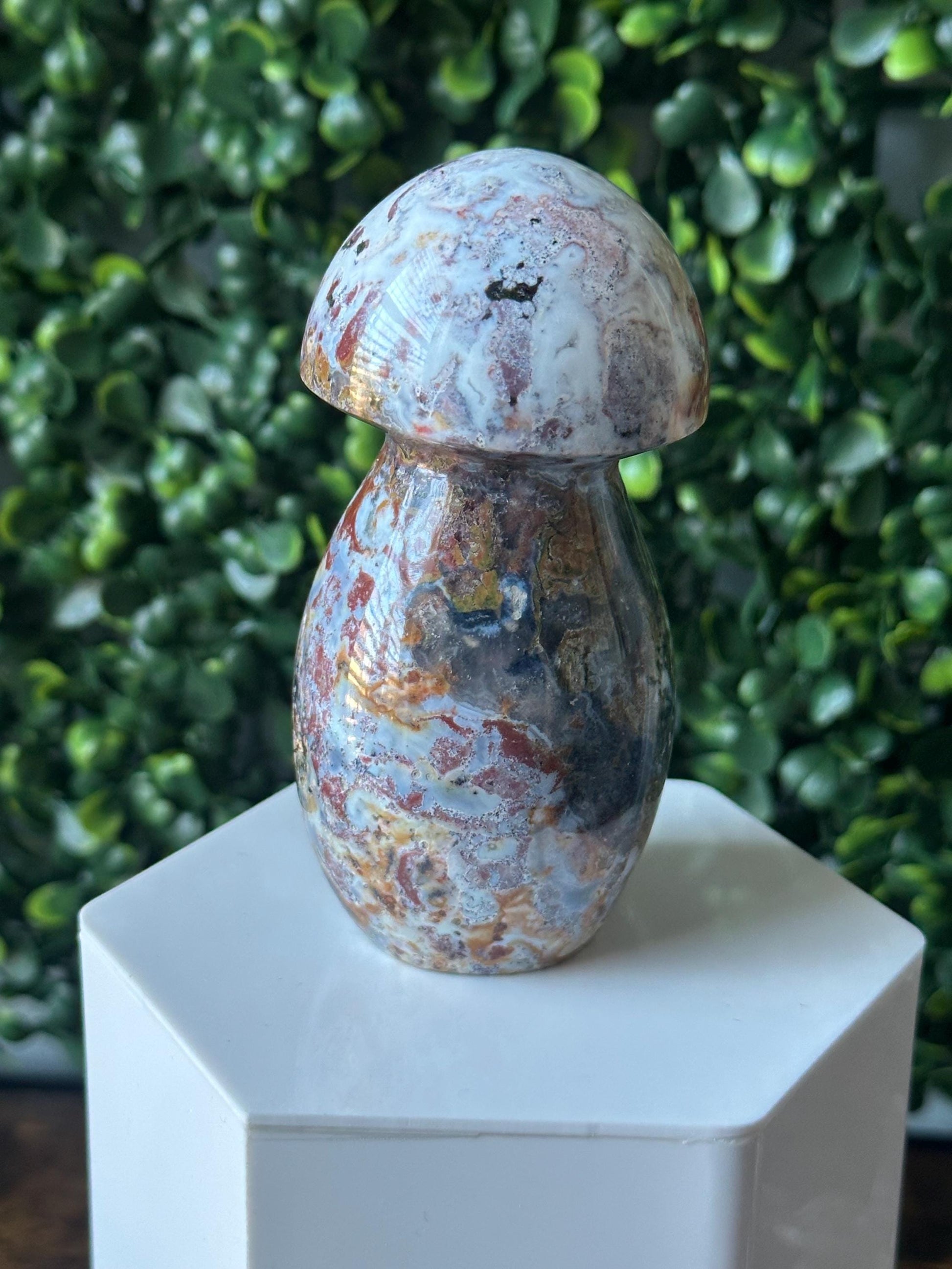 Sea Jasper Mushroom Carving | Natural Ocean Jasper Stone Sculpture | Polished Crystal Mushroom Mineral Specimen for Collectors Display Decor
