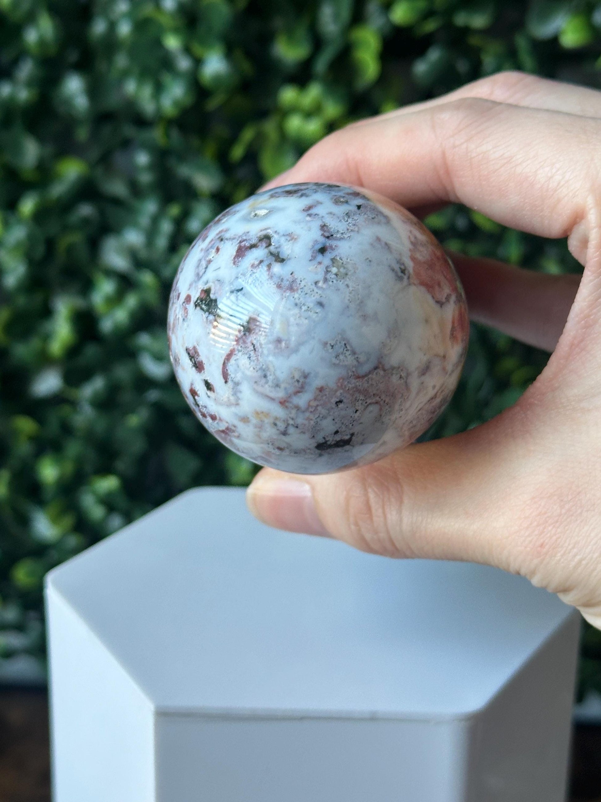Sea Jasper Mushroom Carving | Natural Ocean Jasper Stone Sculpture | Polished Crystal Mushroom Mineral Specimen for Collectors Display Decor