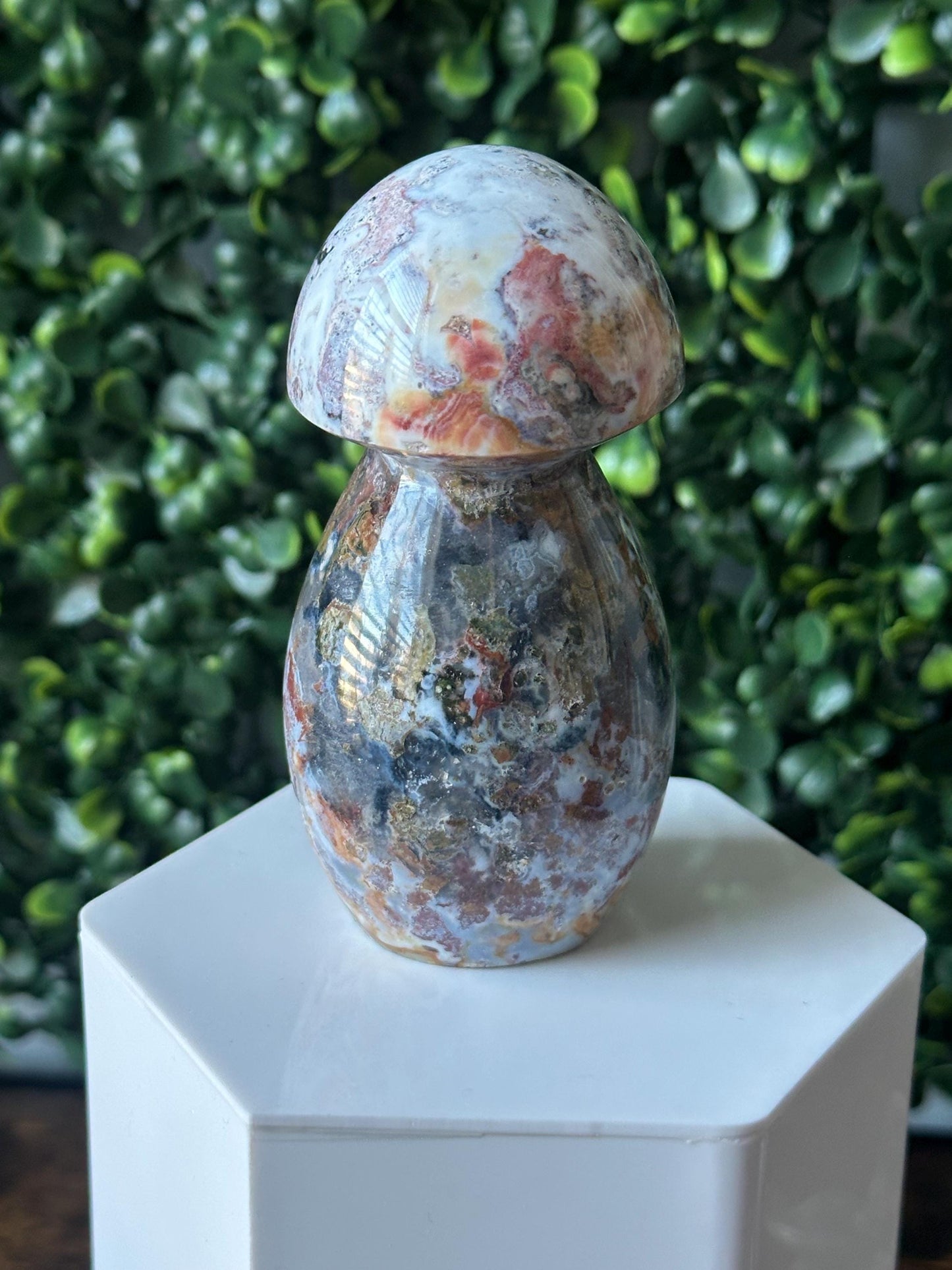 Sea Jasper Mushroom Carving | Natural Ocean Jasper Stone Sculpture | Polished Crystal Mushroom Mineral Specimen for Collectors Display Decor