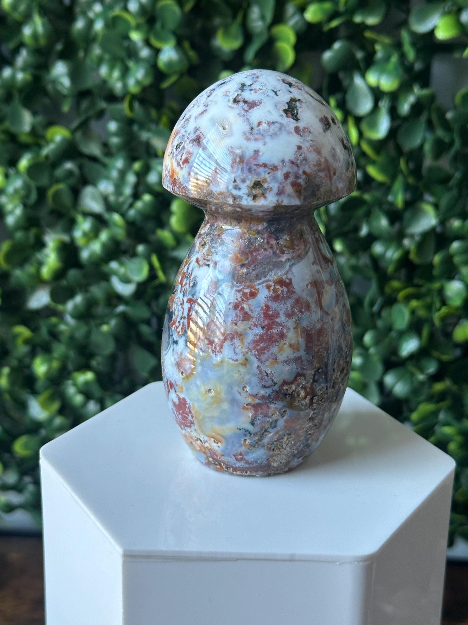Sea Jasper Mushroom Carving | Natural Ocean Jasper Stone Sculpture | Polished Crystal Mushroom Mineral Specimen for Collectors Display Decor