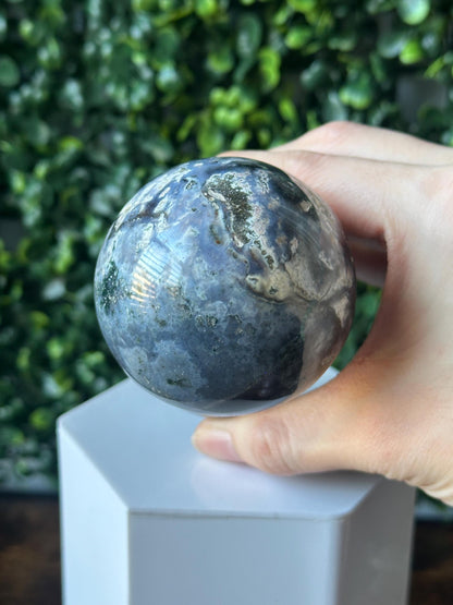 Sea Jasper Mushroom Carving | Natural Ocean Jasper Stone Sculpture | Polished Crystal Mushroom Mineral Specimen for Collectors Display Decor