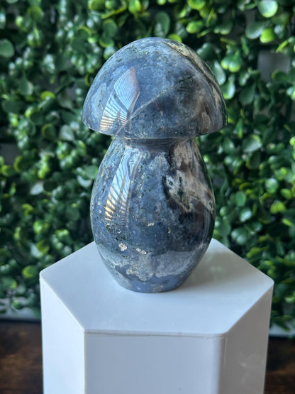 Sea Jasper Mushroom Carving | Natural Ocean Jasper Stone Sculpture | Polished Crystal Mushroom Mineral Specimen for Collectors Display Decor