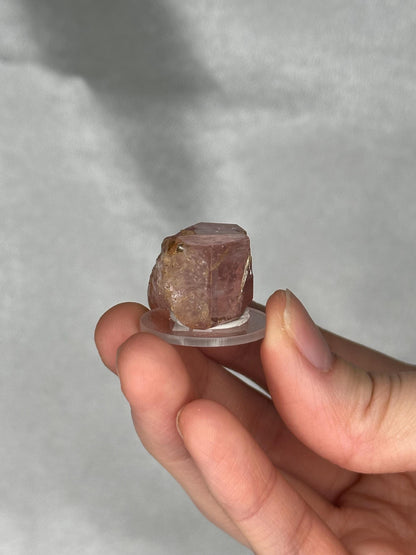 Gemmy Pink Apatite Specimen | Rosy Crystal Formation | Natural Mineral Display Piece | Collector Showcase Decorative Accent