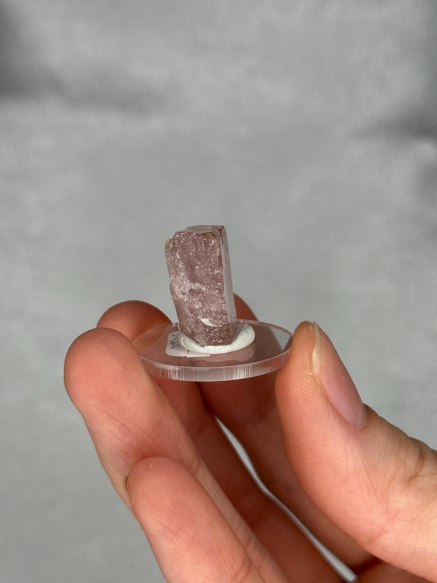 Gemmy Pink Apatite Muscovite Specimen | Rosy Crystal Formation | Natural Mineral Display Piece | Collector Showcase Decorative Accent