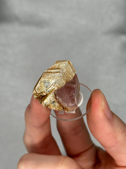 Gemmy Pink Apatite Muscovite Specimen | Rosy Crystal Formation | Natural Mineral Display Piece | Collector Showcase Decorative Accent