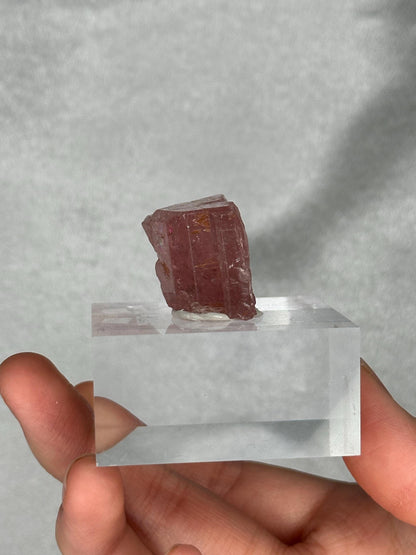 Gemmy Pink Apatite Specimen | Rosy Crystal Formation | Natural Mineral Display Piece | Collector Showcase Decorative Accent
