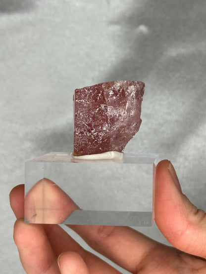 Gemmy Pink Apatite Specimen | Rosy Crystal Formation | Natural Mineral Display Piece | Collector Showcase Decorative Accent