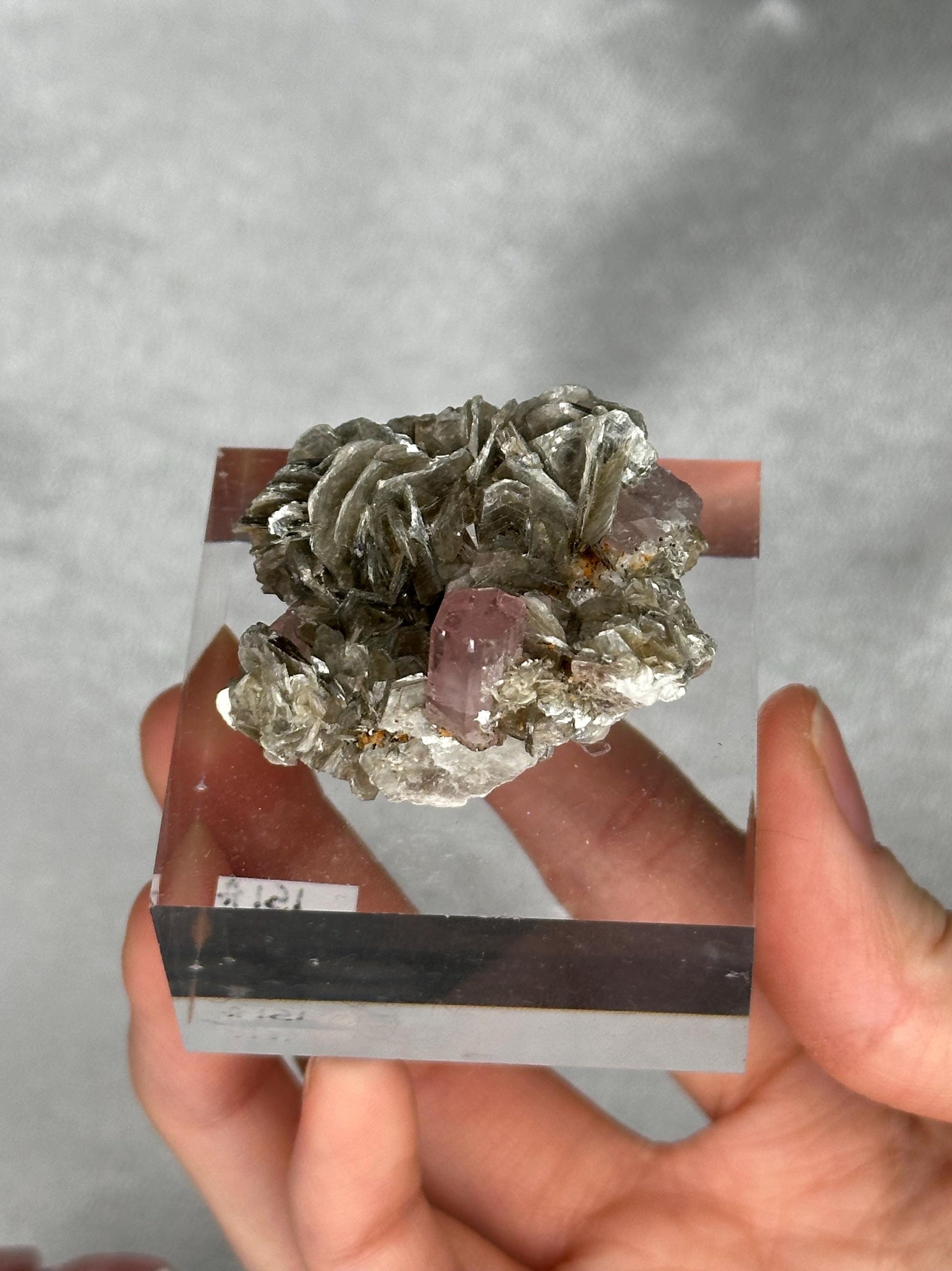 Gemmy Pink Apatite Muscovite Specimen | Rosy Crystal Formation | Natural Mineral Display Piece | Collector Showcase Decorative Accent