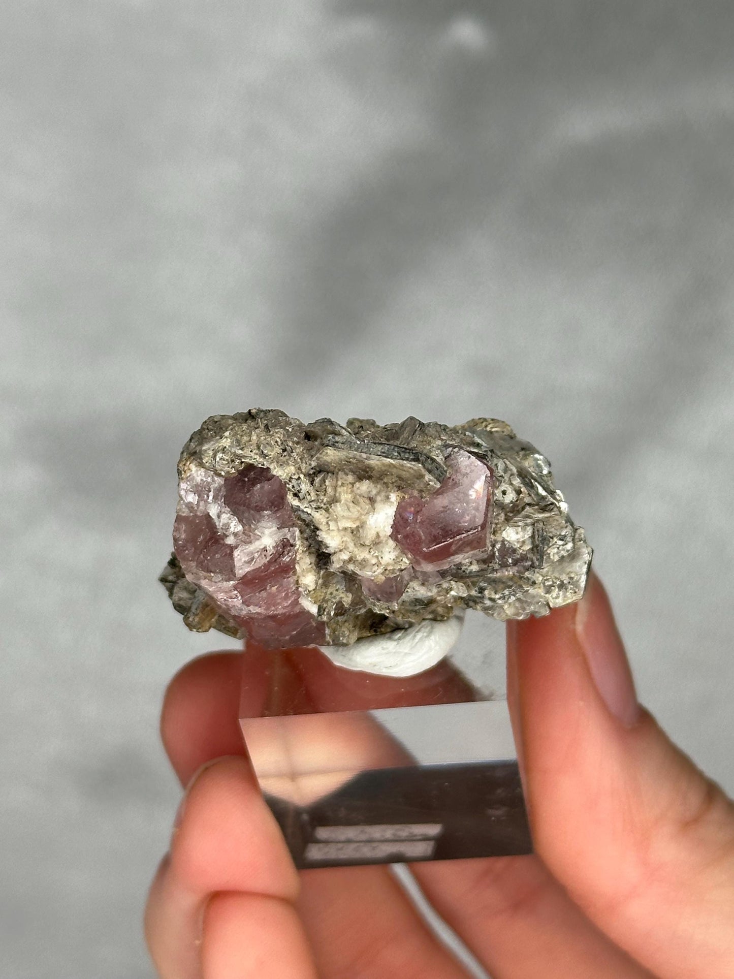 Gemmy Pink Apatite Muscovite Specimen | Rosy Crystal Formation | Natural Mineral Display Piece | Collector Showcase Decorative Accent