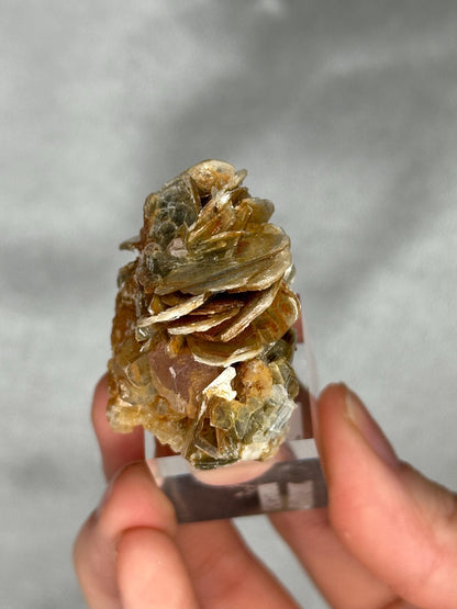 Gemmy Pink Apatite Muscovite Specimen | Rosy Crystal Formation | Natural Mineral Display Piece | Collector Showcase Decorative Accent