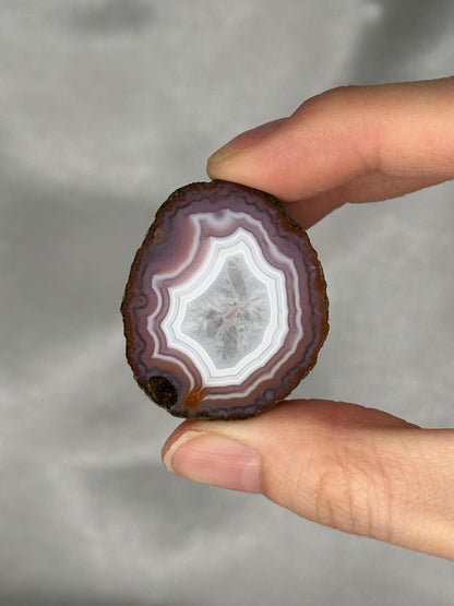 Zhanguo Agate Specimen | Natural Chinese Zhanguo Agate Stone | Banded Mineral Display Piece | Collector Showcase Decorative Accent