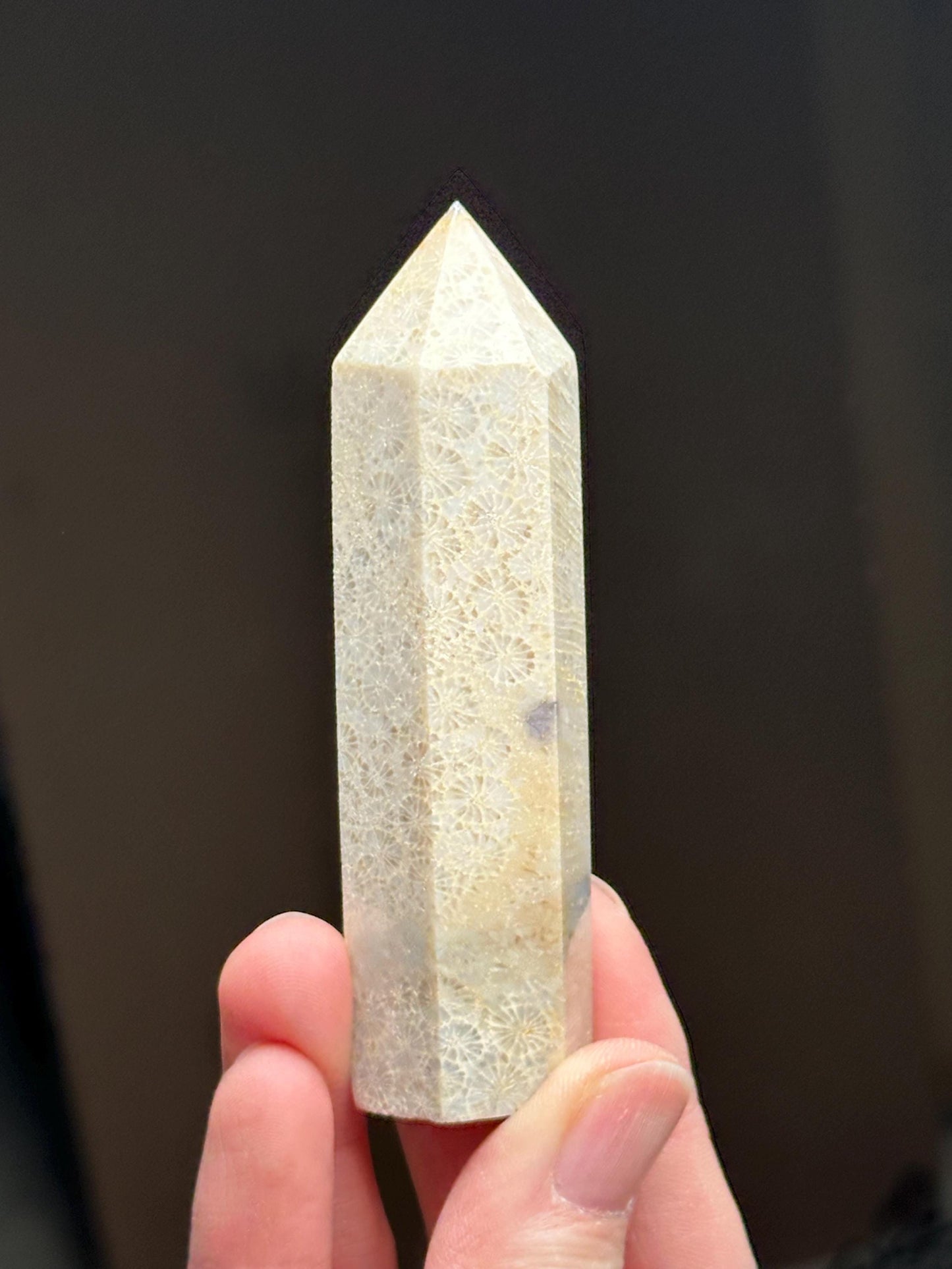Fossilized Coral Towers - YOU PICK! | Natural Coral Fossil Crystal Points | Polished Mineral Specimens for Collectors Display Decor