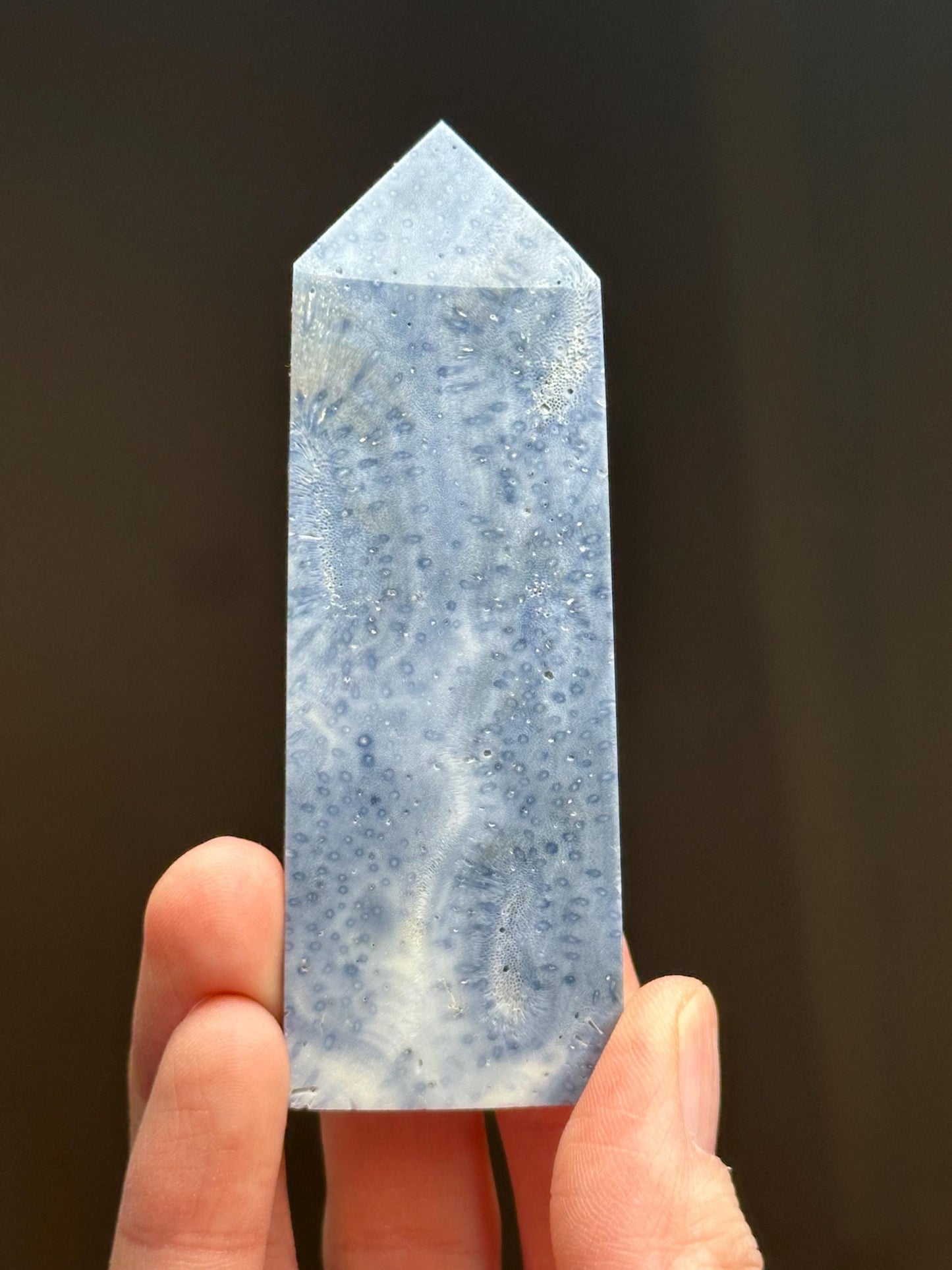 Blue Coral Tower - YOU PICK! | Natural Fossil Coral Crystal Point | Polished Marine Fossil Mineral Specimen for Collectors Display Decor