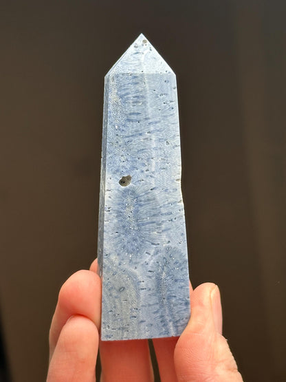 Blue Coral Tower - YOU PICK! | Natural Fossil Coral Crystal Point | Polished Marine Fossil Mineral Specimen for Collectors Display Decor