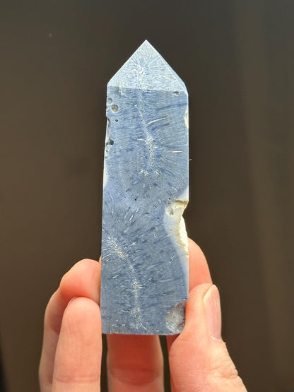 Blue Coral Tower - YOU PICK! | Natural Fossil Coral Crystal Point | Polished Marine Fossil Mineral Specimen for Collectors Display Decor