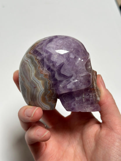 Amethyst Skull with Crazy Lace Agate | Natural Purple Quartz Crystal Skull Carving | Banded Stone Sculpture for Collectors Display Decor