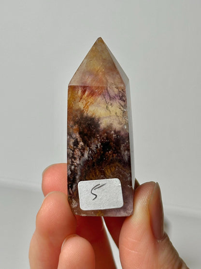 Fluorite with Pyrite and Garden Inclusions | Natural Crystal Mineral Specimen | Raw Collector Display Piece for Cabinet or Shelf