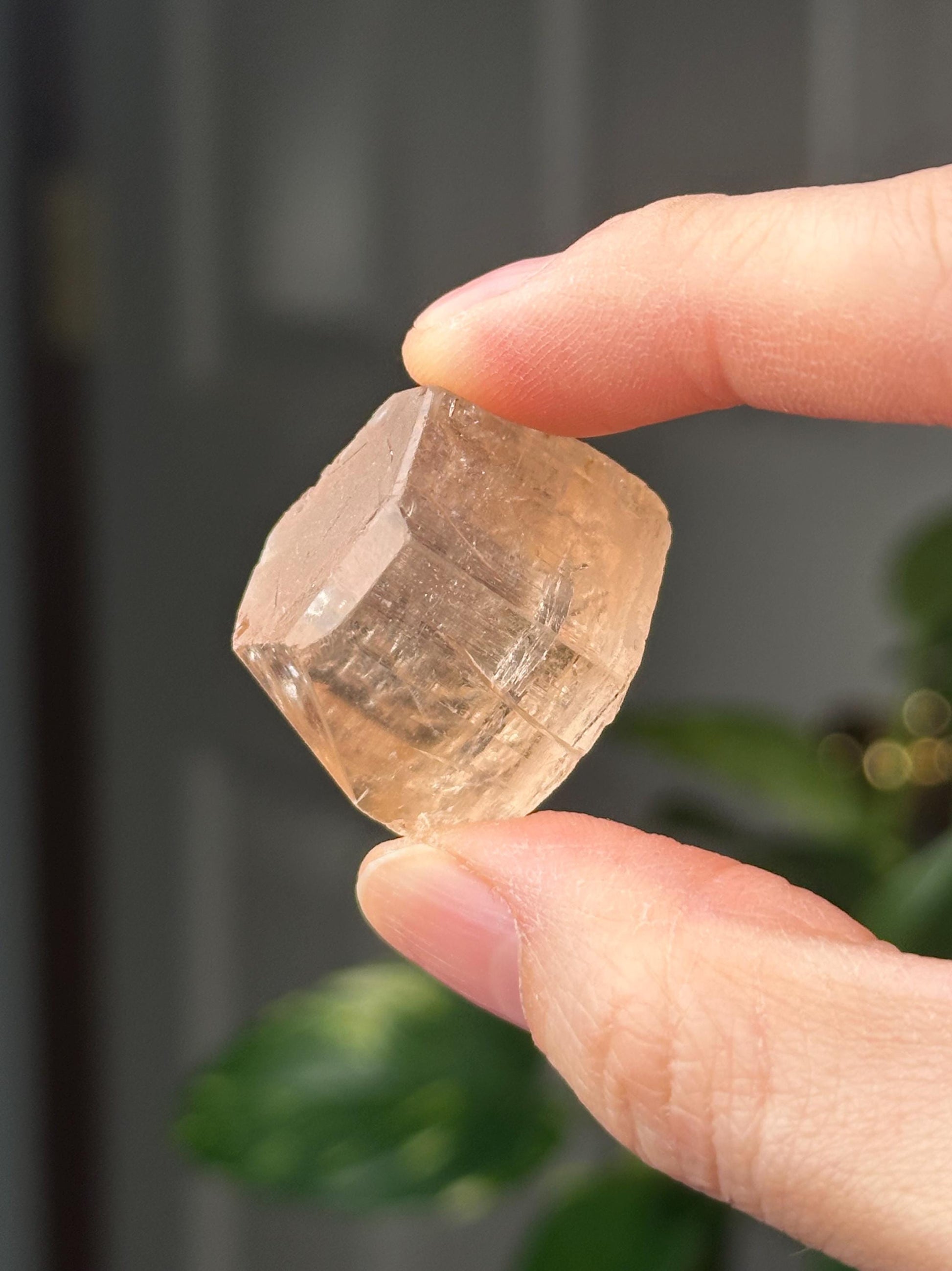 Champagne Topaz Specimen | Natural Champagne Topaz Crystal | Golden Gemstone Mineral Display Piece for Collectors Cabinet Decor