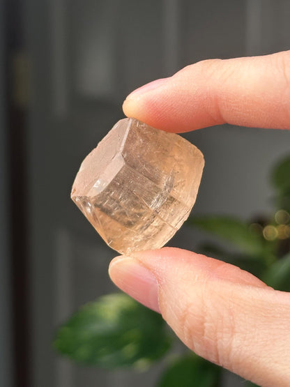 Champagne Topaz Specimen | Natural Champagne Topaz Crystal | Golden Gemstone Mineral Display Piece for Collectors Cabinet Decor