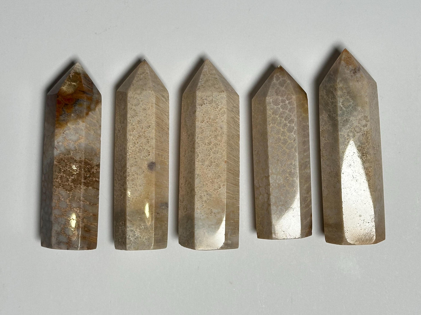 Fossilized Coral Towers - YOU PICK! | Natural Coral Fossil Crystal Points | Polished Mineral Specimens for Collectors Display Decor