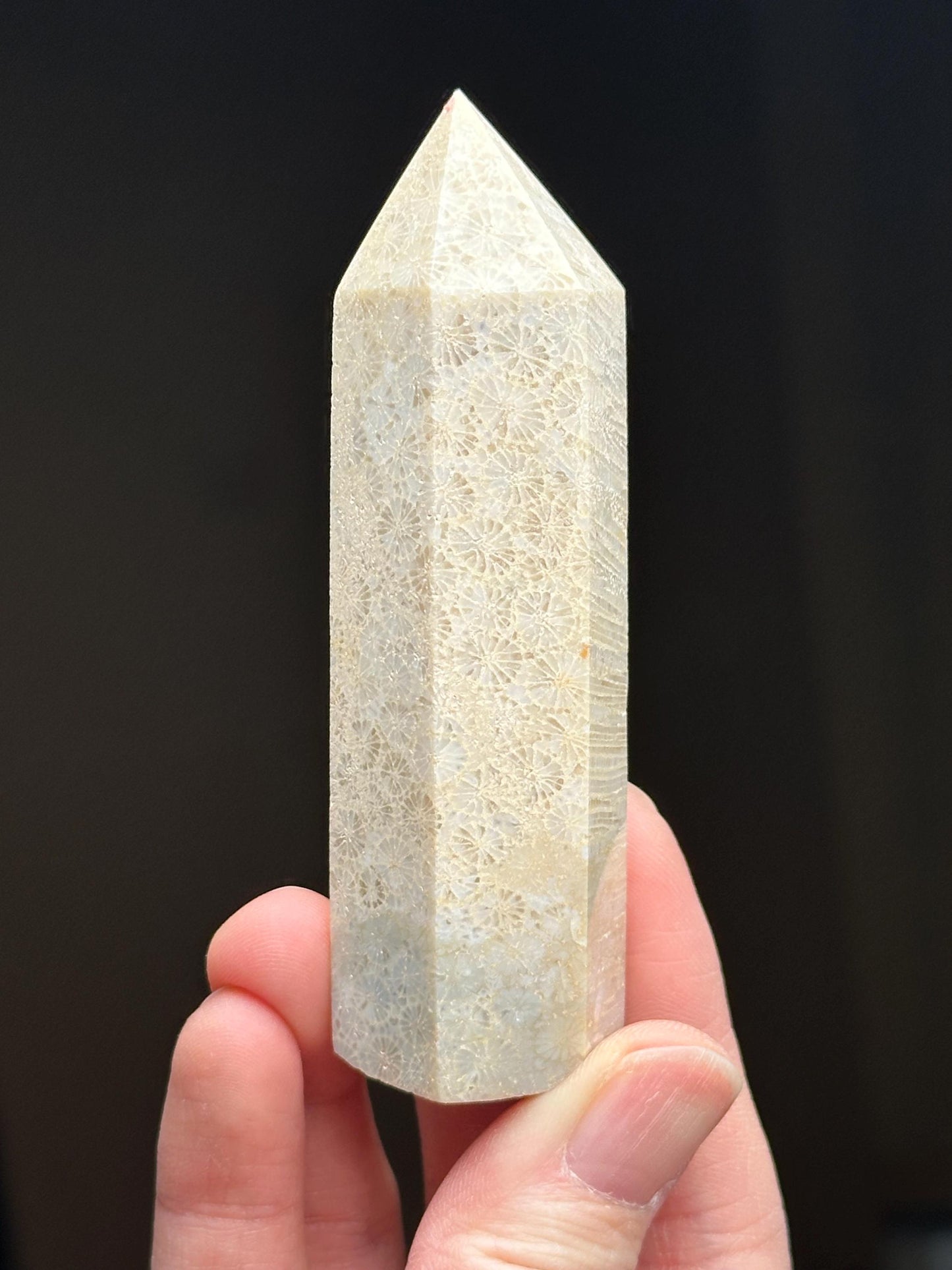Fossilized Coral Towers - YOU PICK! | Natural Coral Fossil Crystal Points | Polished Mineral Specimens for Collectors Display Decor