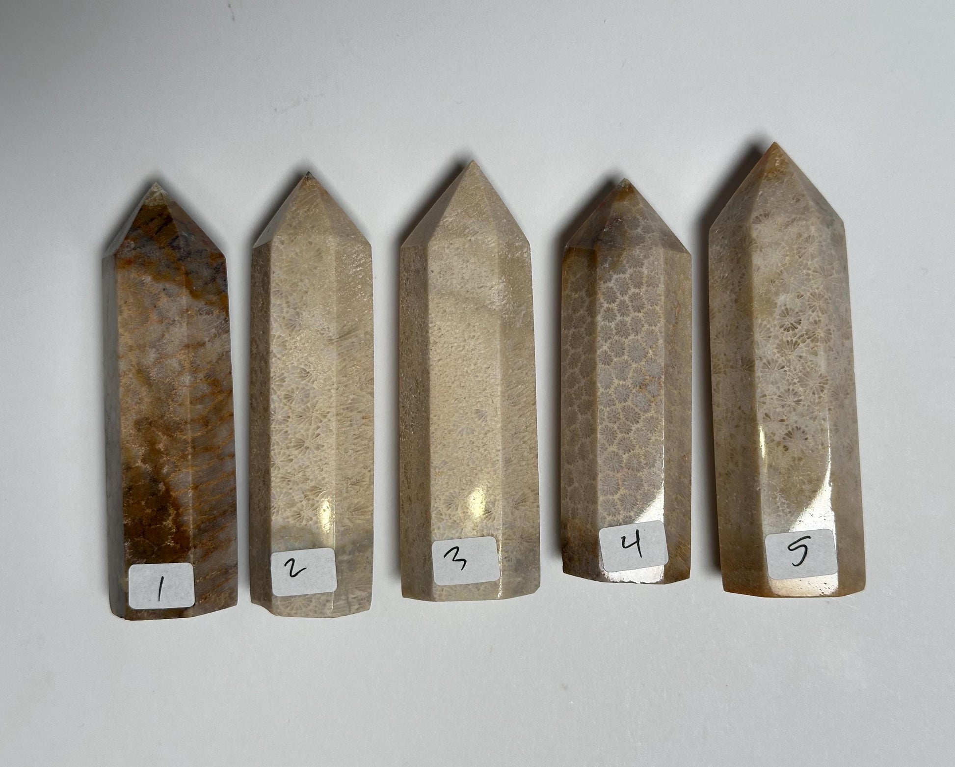 Fossilized Coral Towers - YOU PICK! | Natural Coral Fossil Crystal Points | Polished Mineral Specimens for Collectors Display Decor