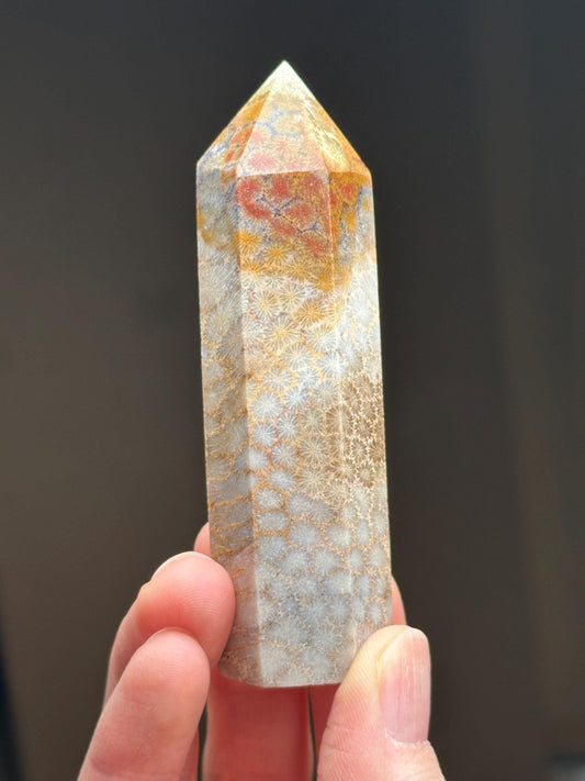 Fossilized Coral Towers - YOU PICK! | Natural Coral Fossil Crystal Points | Polished Mineral Specimens for Collectors Display Decor